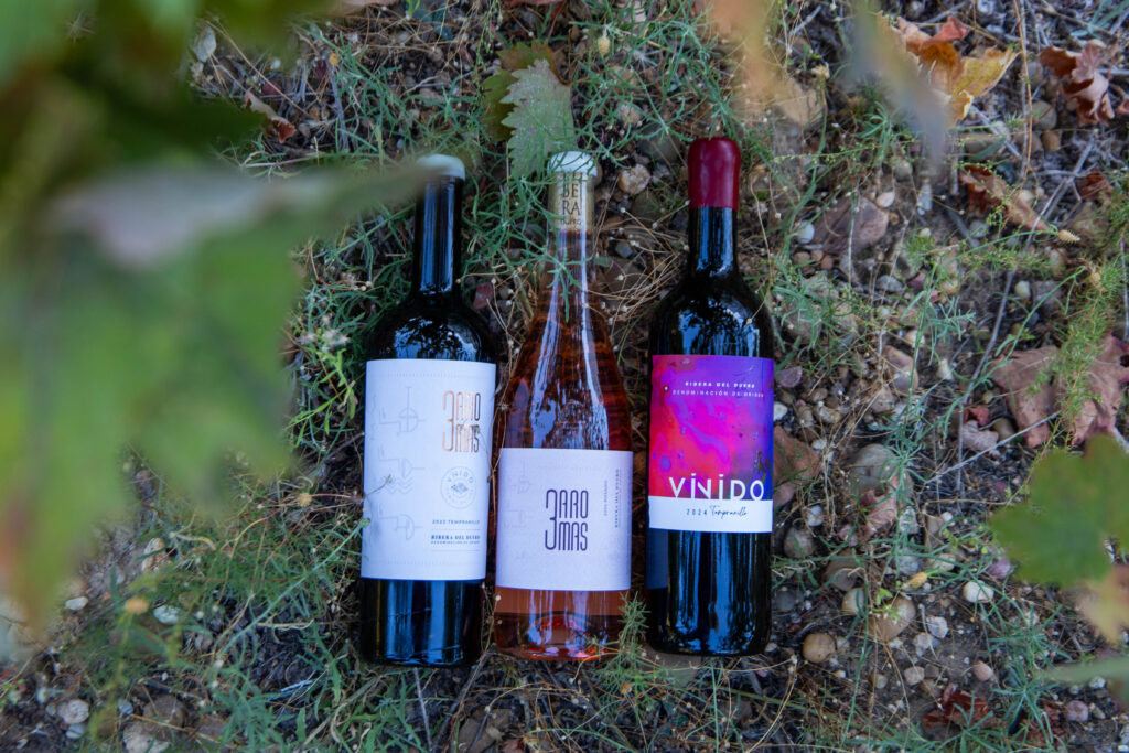 tienda vinido